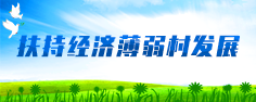 扶持經(jīng)濟薄弱村發(fā)展